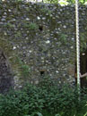 City Wall Survey