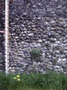 City Wall Survey