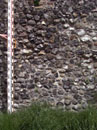 City Wall Survey