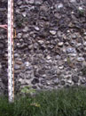 City Wall Survey