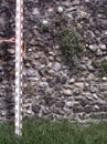 City Wall Survey