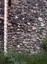 City Wall Survey
