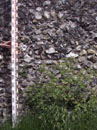 City Wall Survey