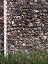 City Wall Survey
