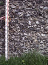City Wall Survey