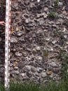 City Wall Survey