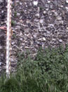 City Wall Survey