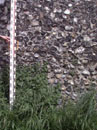 City Wall Survey