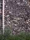 City Wall Survey