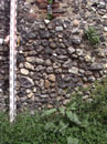 City Wall Survey