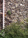 City Wall Survey