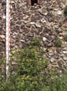 City Wall Survey