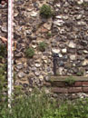 City Wall Survey