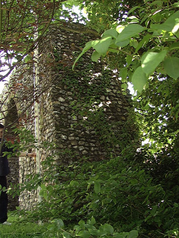 City Wall Survey