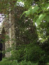 City Wall Survey