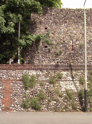 City Wall Survey