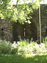 City Wall Survey