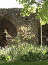 City Wall Survey