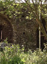City Wall Survey