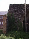 City Wall Survey