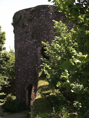 City Wall Survey