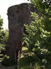 City Wall Survey