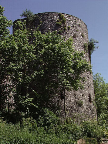 City Wall Survey