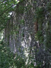 City Wall Survey