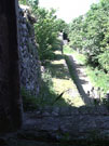 City Wall Survey