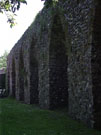City Wall Survey