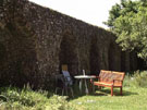 City Wall Survey