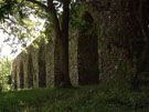 City Wall Survey