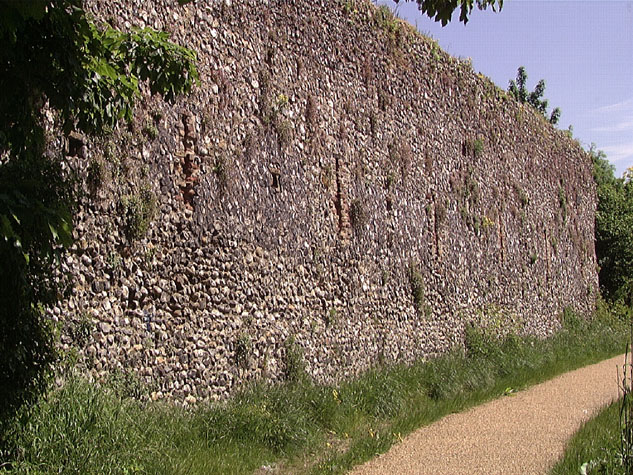 City Wall Survey