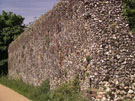 City Wall Survey
