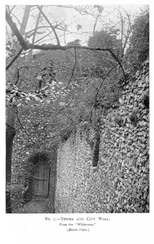 City Wall Survey