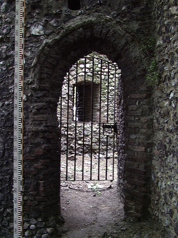 City Wall Survey