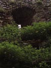 City Walls Survey