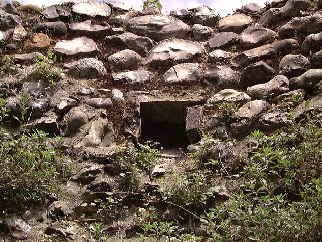 City Wall Survey