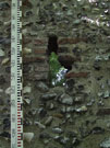 City Wall Survey