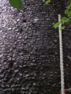 City Wall Survey
