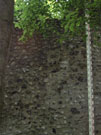 City Wall Survey