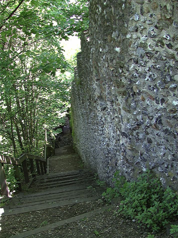 City Wall Survey