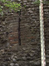 City Wall Survey