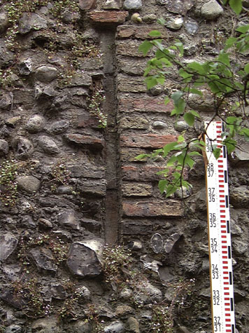 City Wall Survey
