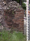 City Wall Survey