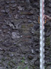 City Wall Survey