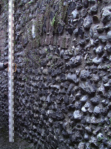 City Wall Survey