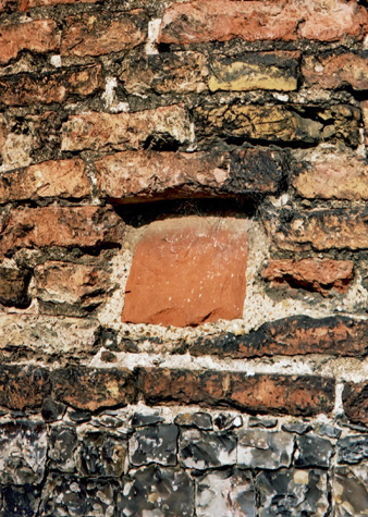 City Wall Survey