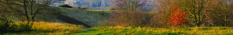 Meadow life banner