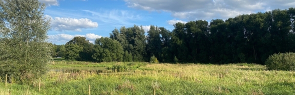 Natural green spaces